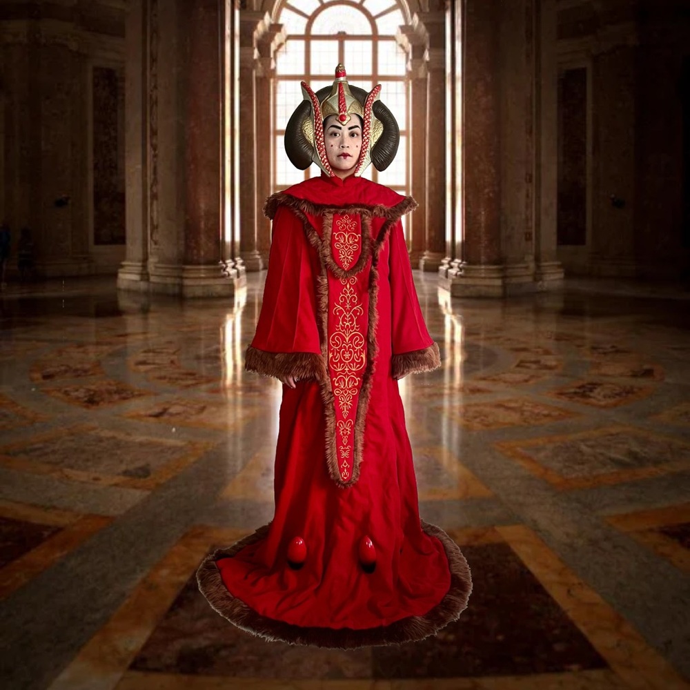 Preowned LIKE NEW Star Wars Queen Amidala Padme Halloween Costume Cosplay
